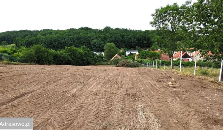 Działka rolno-budowlana Stare Bogaczowice, ul. Główna