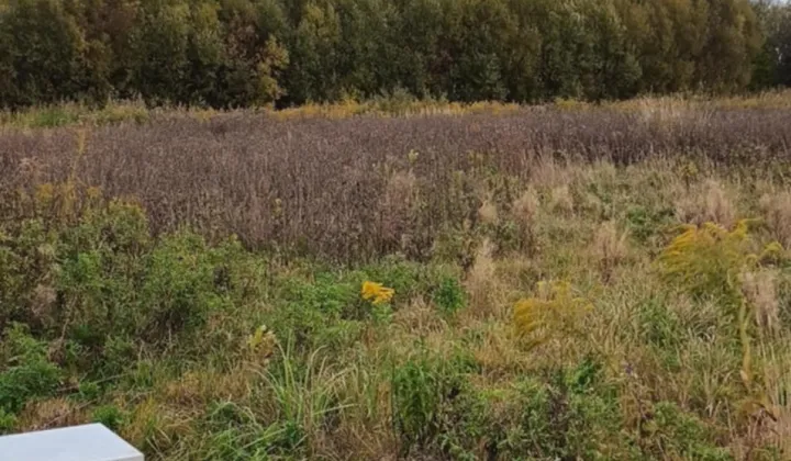 Działka budowlana Aleksandrów Łódzki Franin, ul. Bartosza Głowackiego