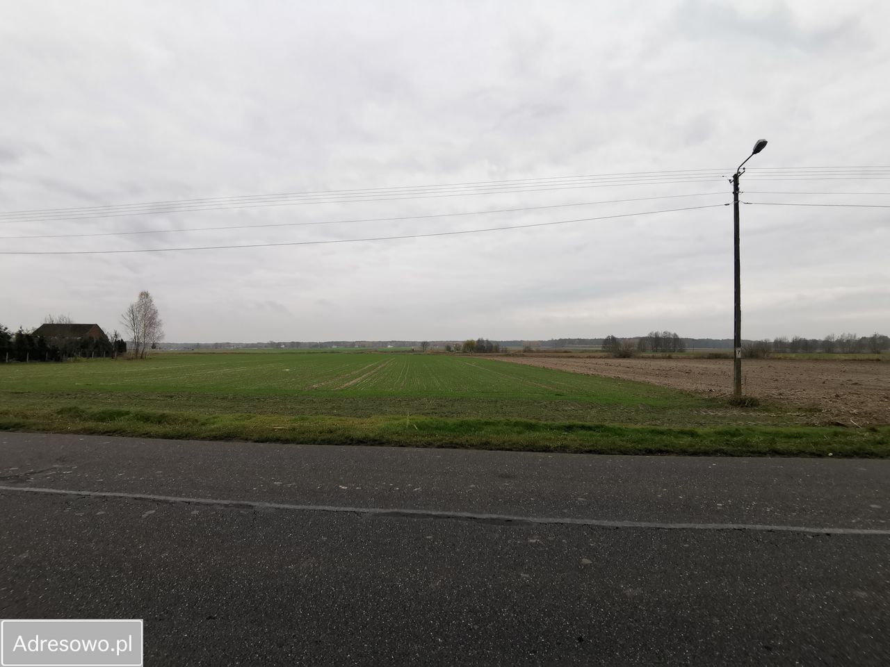 Działka rolno-budowlana Młynisko. Zdjęcie 1