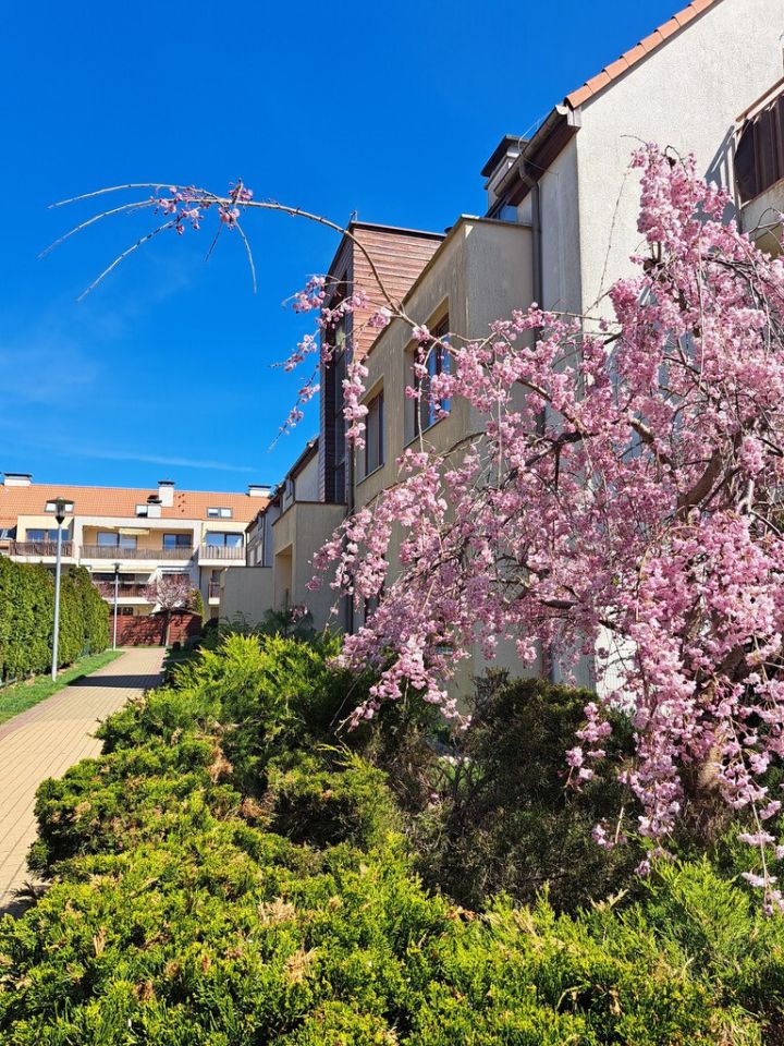 Mieszkanie 2-pokojowe Bezrzecze, ul. Dolina Słońca. Zdjęcie 12