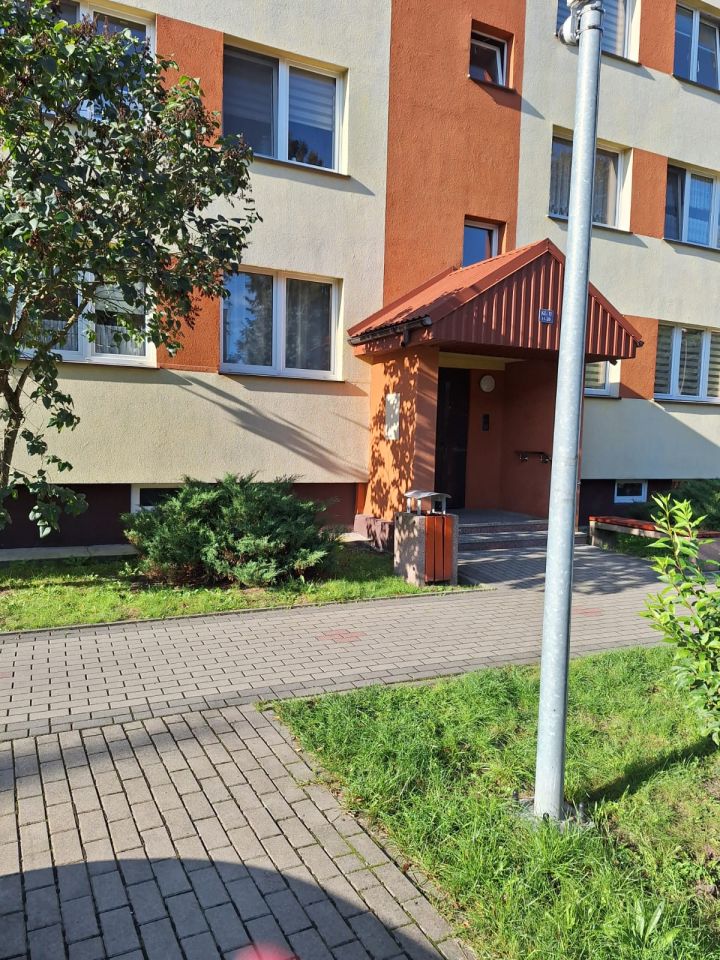 Zdjęcie 3