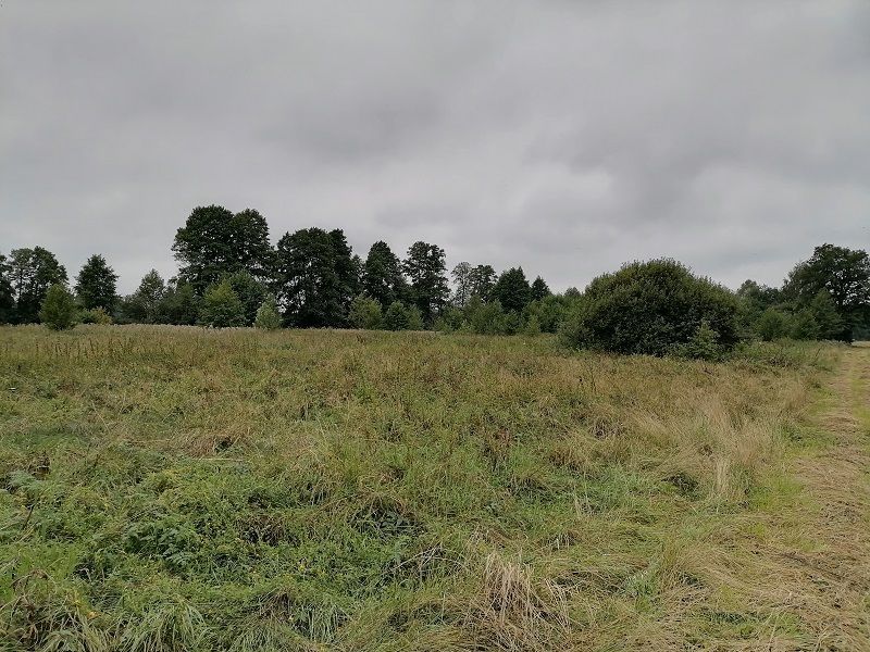 Działka rolno-budowlana Stara Grabownica. Zdjęcie 7