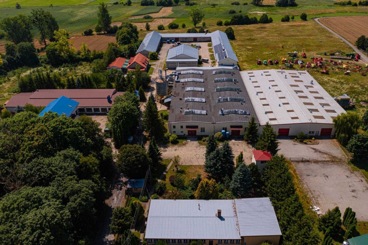 Nieruchomość komercyjna Nowy Dwór. Zdjęcie 3