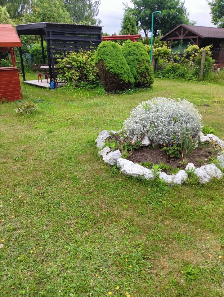 Działka rod Myszków. Zdjęcie 3