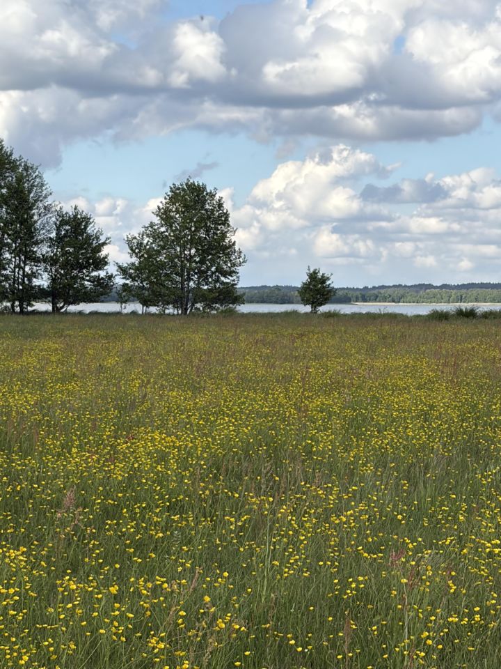 Działka rolna Kruszyn. Zdjęcie 14