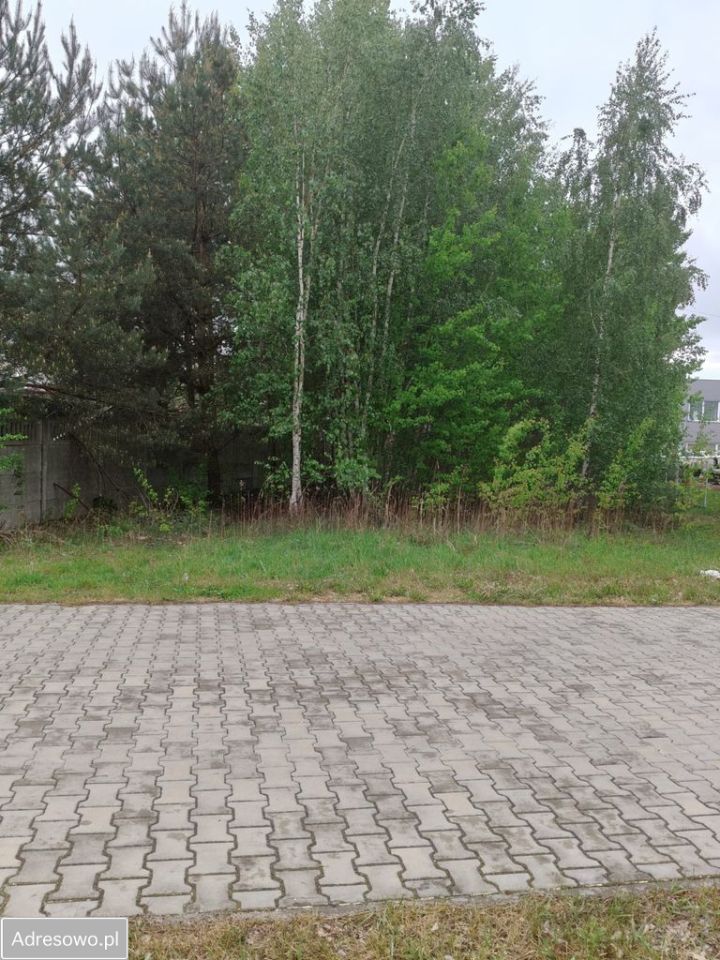 Działka rolno-budowlana Chynów. Zdjęcie 2