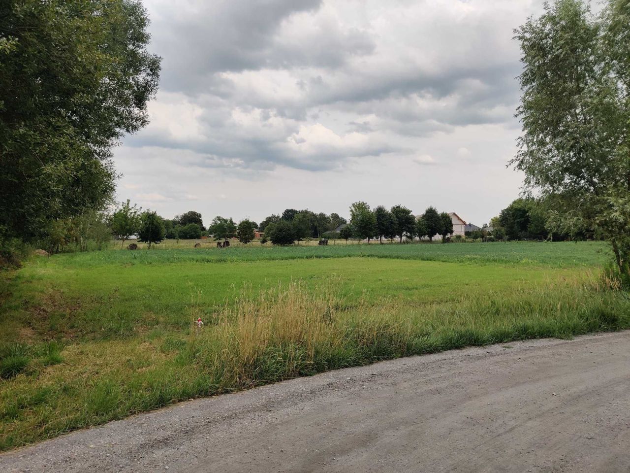 Działka budowlana Grębocin. Zdjęcie 1