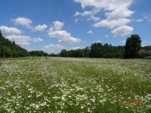 Działka budowlana Mława Studzieniec, ul. Studzieniec. Zdjęcie 4