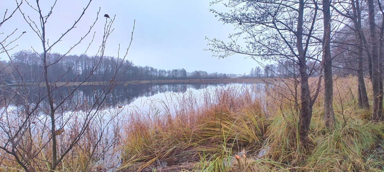 Działka rolno-budowlana Nowa Wioska Wągieł, Wągieł. Zdjęcie 6