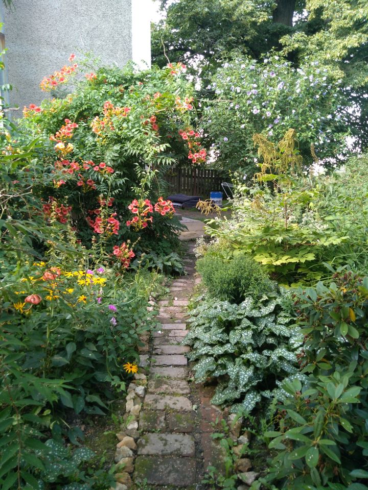 dom wolnostojący, 5 pokoi Janówka. Zdjęcie 23