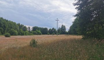 Działka siedliskowa Szarki