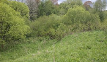 Działka rolna Olchowiec