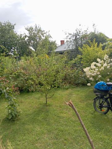 Działka rod Wieluń, ul. Elizy Orzeszkowej. Zdjęcie 1