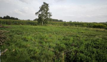 Działka budowlana Wólka Czarnińska