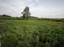 Działka budowlana Wólka Czarnińska