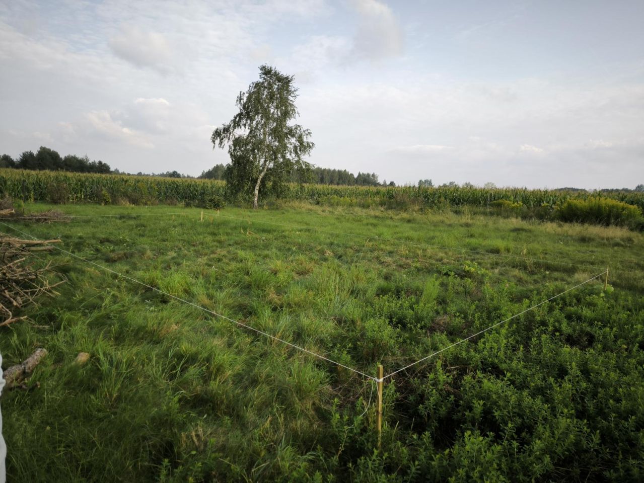 Działka budowlana Wólka Czarnińska