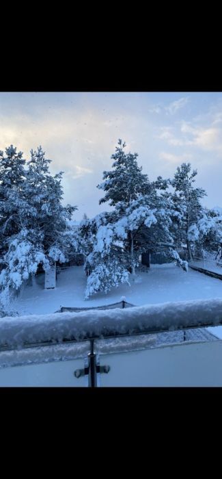 bliźniak, 5 pokoi Niestępowo. Zdjęcie 7