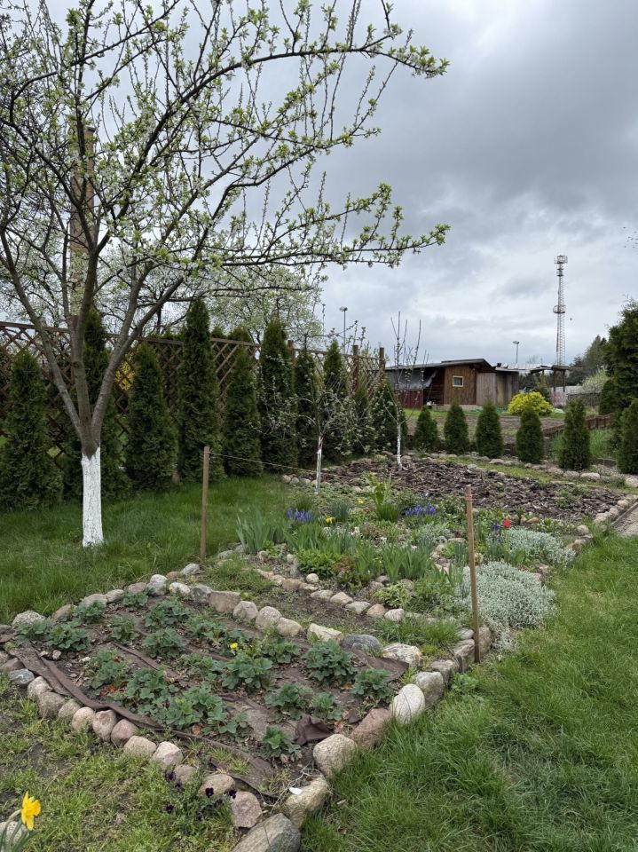 Działka rod Szczecinek, ul. Sienkiewicza. Zdjęcie 4