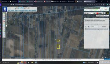 Działka rolna Adamów Drwalewski