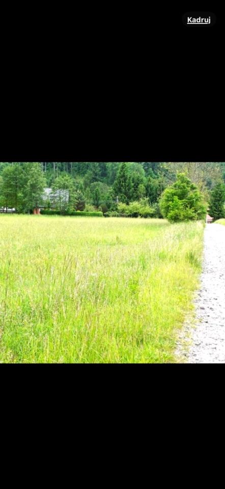 Działka budowlana Trzcińsko. Zdjęcie 5