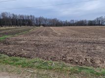 Działka rolna Ćwiklice, bez nazwy. Zdjęcie 1