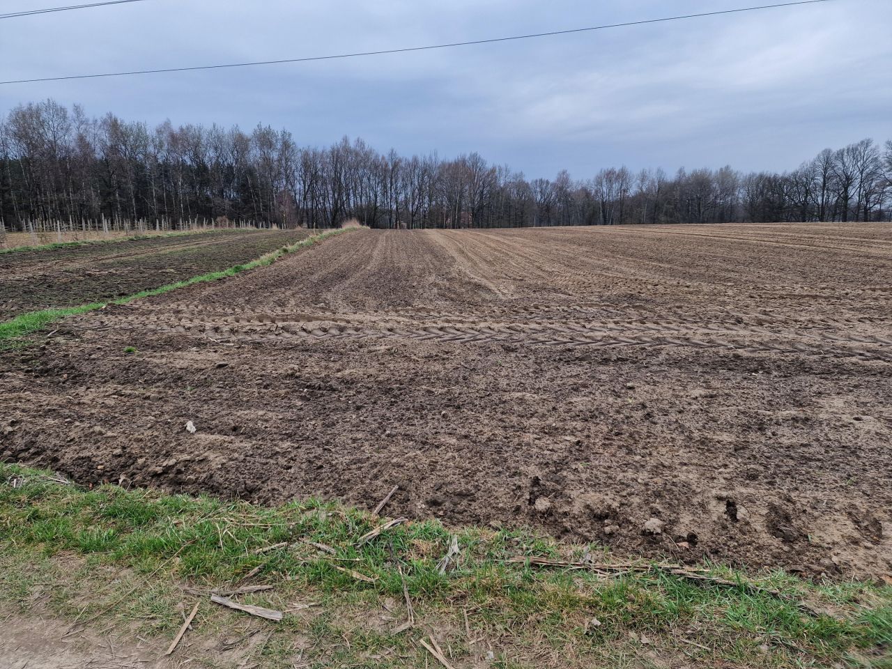 Działka rolna Ćwiklice, bez nazwy. Zdjęcie 2
