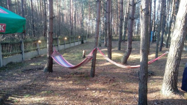 Działka rekreacyjna Zakrzówek Szlachecki. Zdjęcie 1