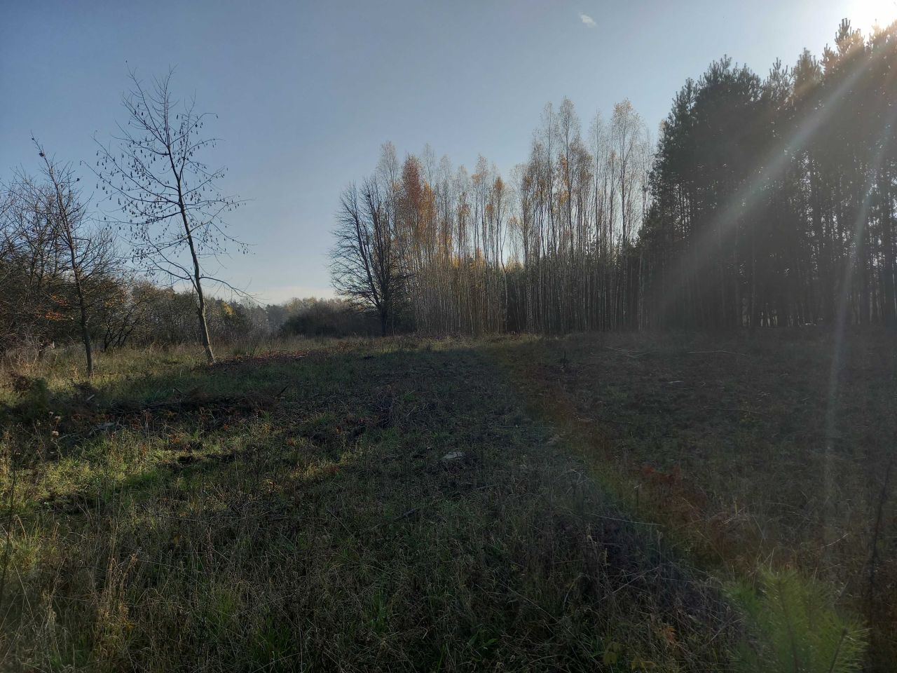 Działka rolno-budowlana Czernica. Zdjęcie 3