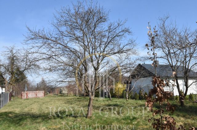 Działka siedliskowa Annobór-Kolonia. Zdjęcie 5