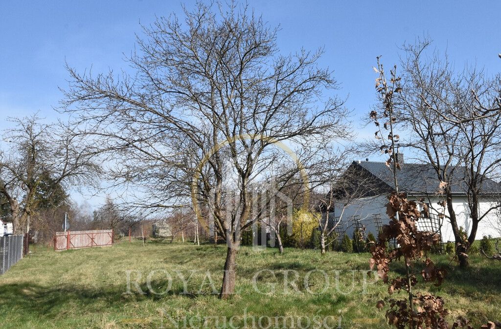 Działka siedliskowa Annobór-Kolonia. Zdjęcie 5