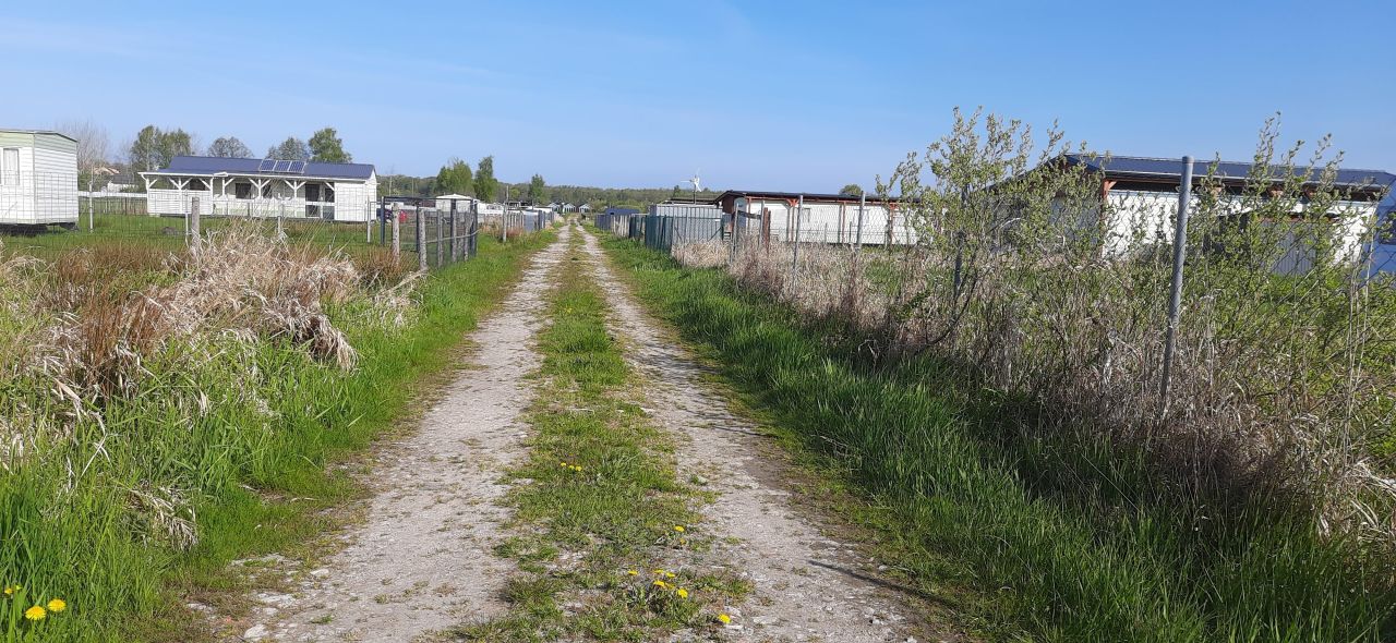 Działka rolna Dąbki, ul. Polna. Zdjęcie 8