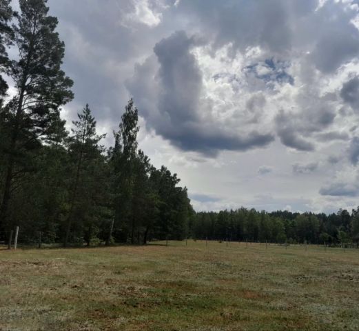 Działka budowlana Zieleniec. Zdjęcie 1