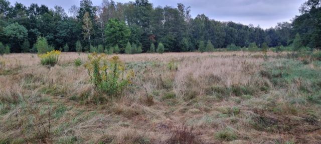 Działka budowlana Owczarnia. Zdjęcie 3