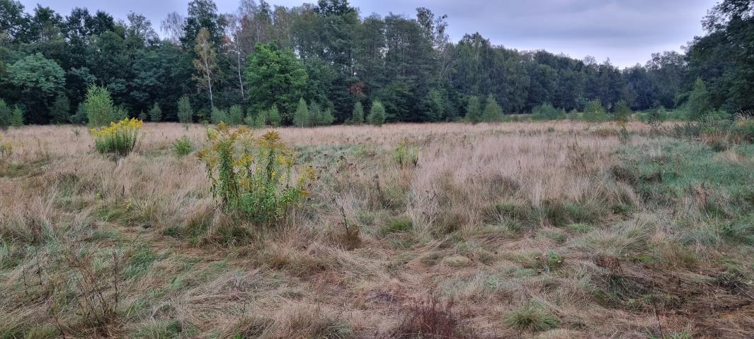 Działka budowlana Owczarnia. Zdjęcie 3