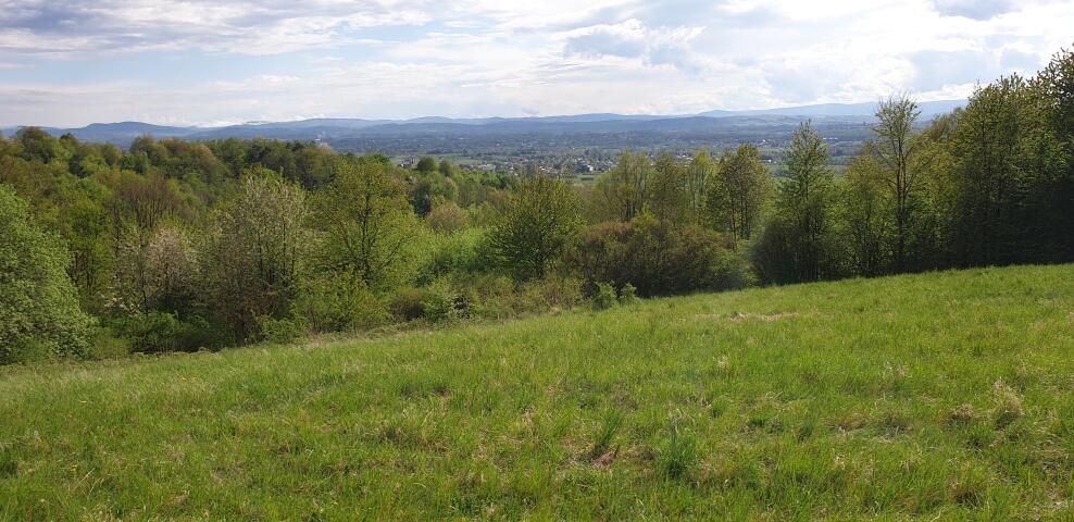 Działka budowlana Odrzykoń, ul. Piekło