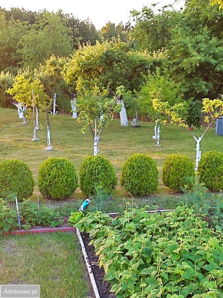 Mieszkanie 3-pokojowe Domaszowice, os. Klonowe. Zdjęcie 8