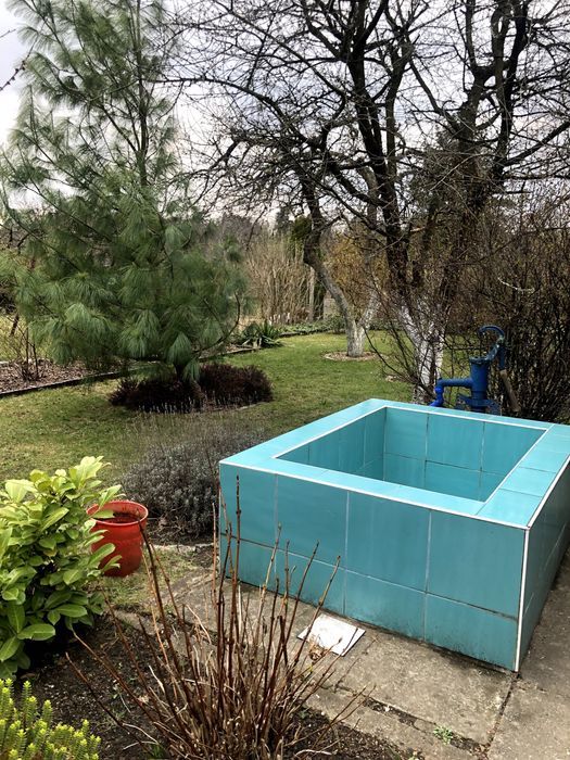 Działka rod Wrocław Psie Pole, ul. Łużycka. Zdjęcie 5