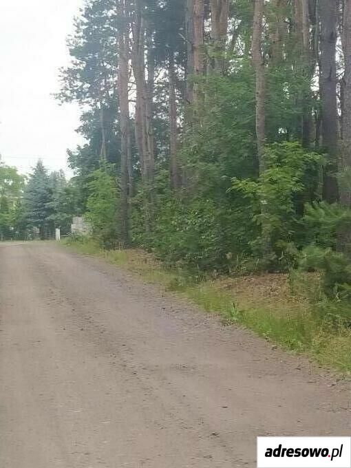 Działka rolna Wola Starogrodzka. Zdjęcie 6