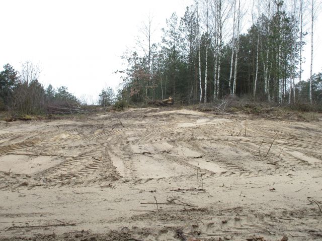 Działka leśna Kamianka. Zdjęcie 1