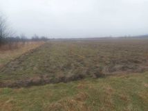 Działka rolna Pysznica. Zdjęcie 4