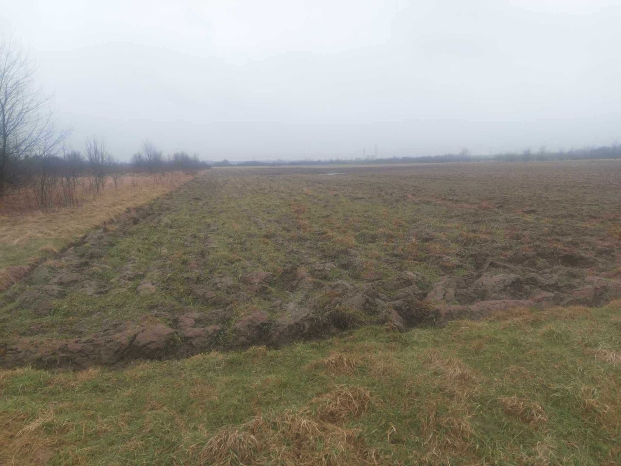 Działka rolna Pysznica. Zdjęcie 5