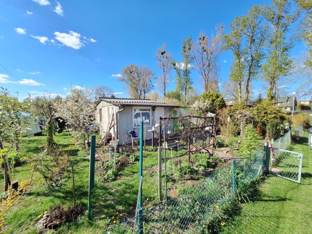 Działka rod Pruszków. Zdjęcie 1