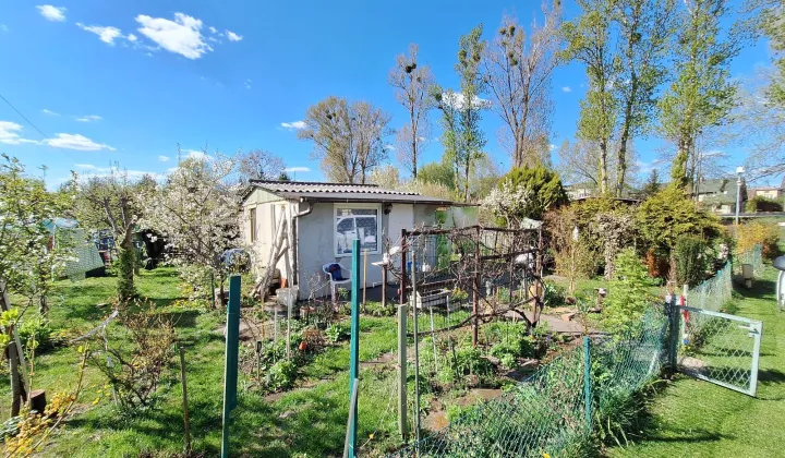 Działka rod Pruszków