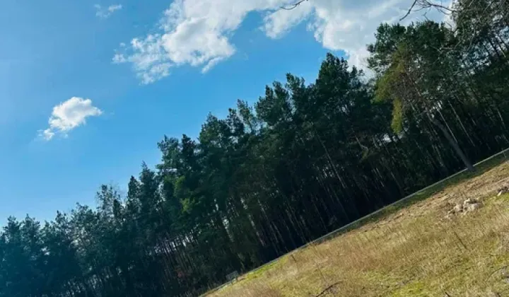 Działka budowlana Czerwonka Szlachecka