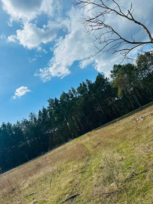 Działka budowlana Czerwonka Szlachecka. Zdjęcie 1