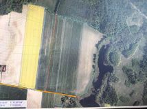 Działka leśna Rękawczyn. Zdjęcie 3