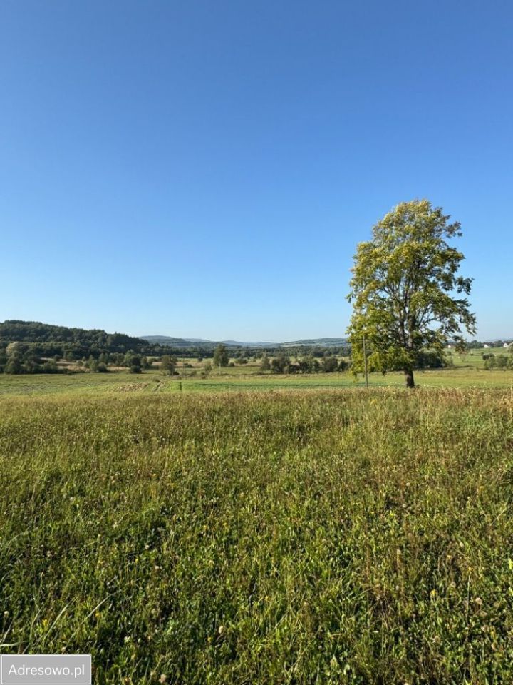 Działka budowlana Lipinki. Zdjęcie 15