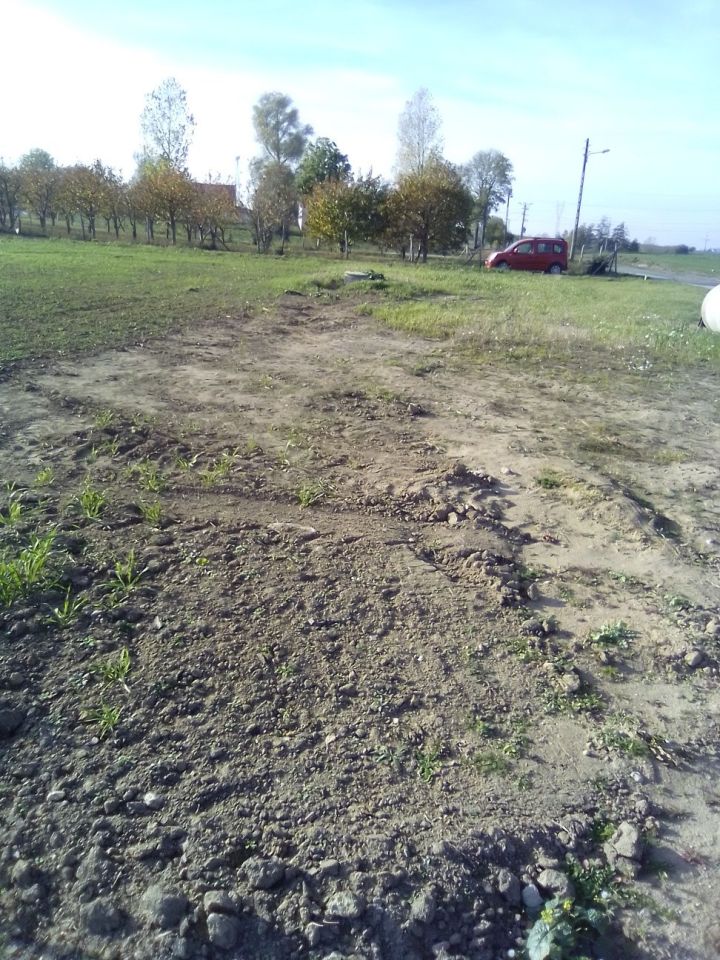 Działka rolna Zgoda. Zdjęcie 5