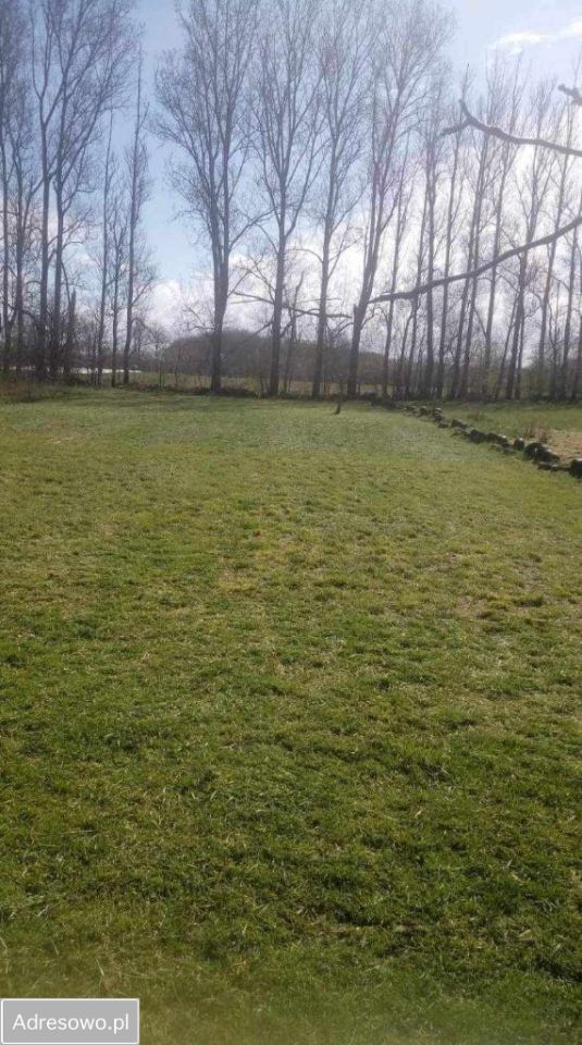 Działka budowlana Kiszkowo. Zdjęcie 3