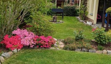 Działka rod Kędzierzyn-Koźle